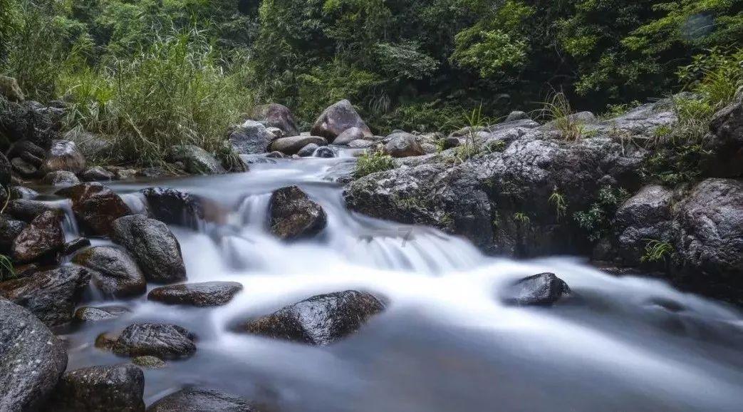 琳娜整理房间